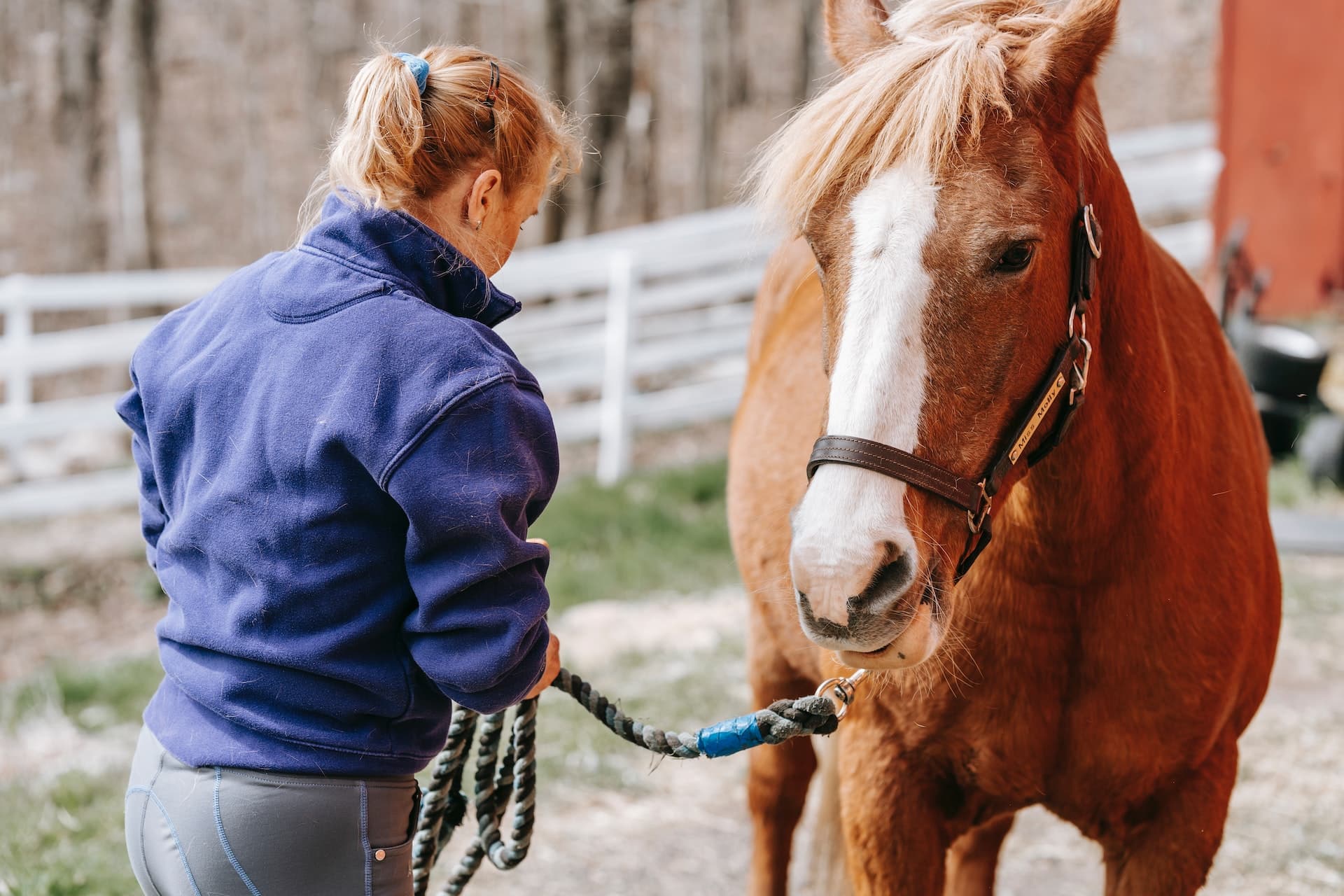 horses and children